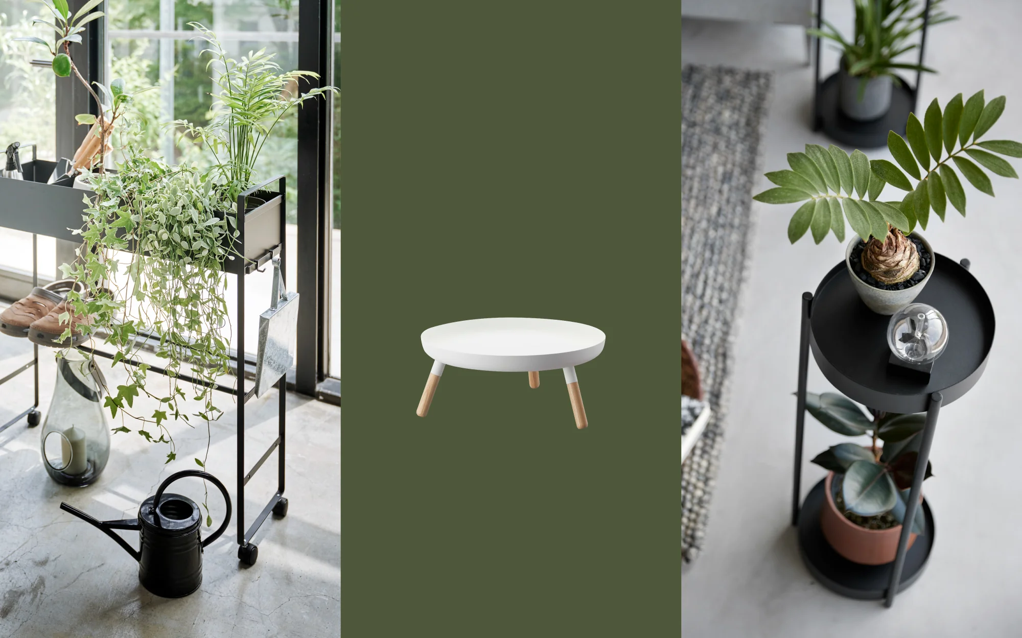 Minimalist Japanese Essentials for Living