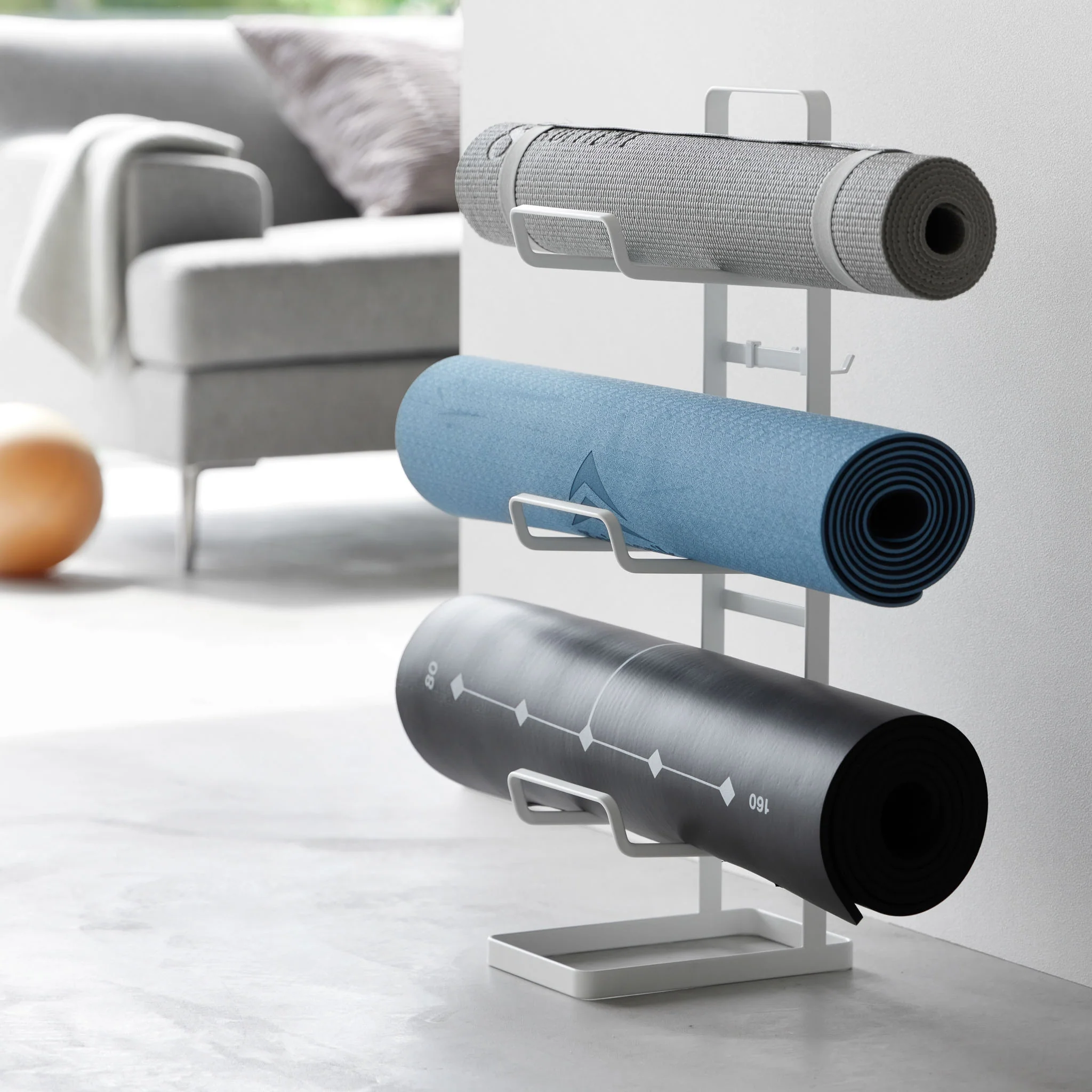 Fitness Equipment Rack - Image 14