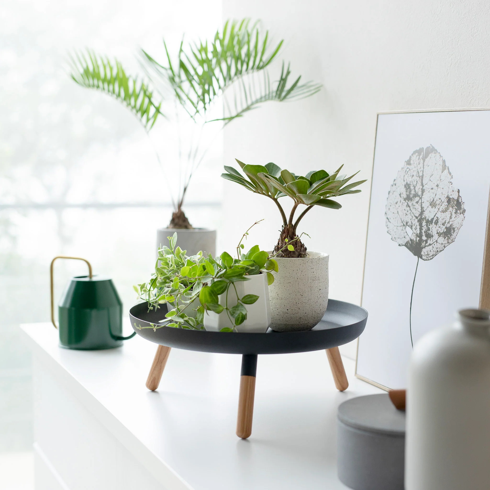 Tray with Legs - Image 9